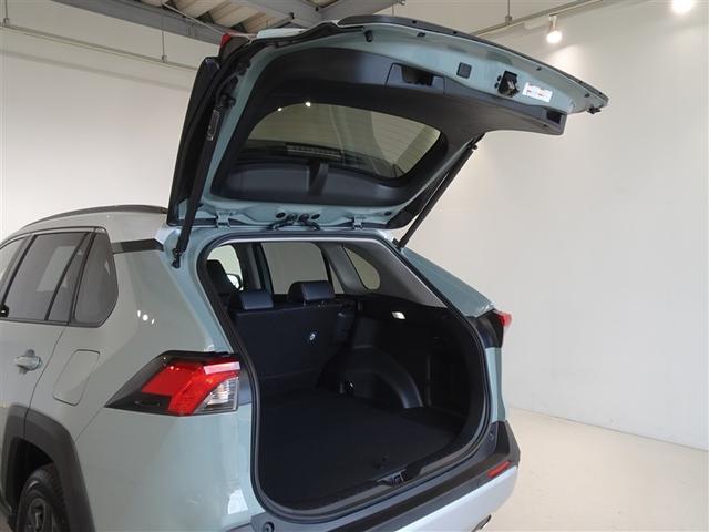 �o�b�N�h�A���J������Ԃł��B