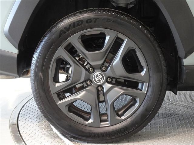 �������Ƒ����������������A�����A���~�𑕔����Ă��܂��B