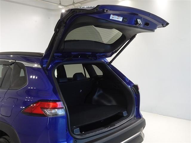 �o�b�N�h�A���J������Ԃł��B