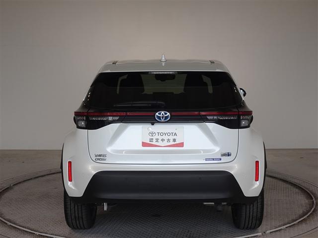 �c�J���̃o�b�N�h�A�ł��A�J�̓����G��ɂ����ł���B