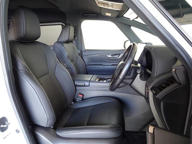 ���U�[���i���琻�j�ō������E�@�\����Z�����������K�ȃV�[�g�ł��B