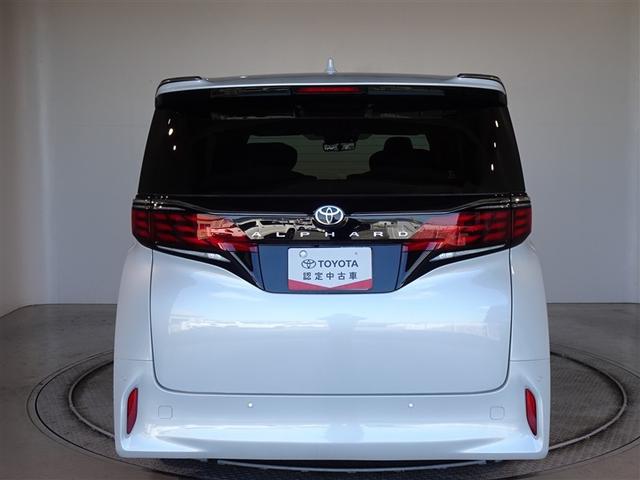 �c�J���̃o�b�N�h�A�ł��A�J�̓����G��ɂ����ł���B