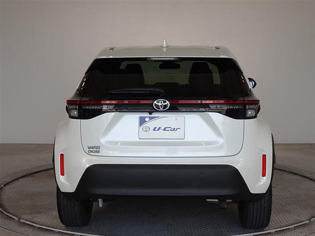 �c�J���̃o�b�N�h�A�ł��A�J�̓����G��ɂ����ł���B