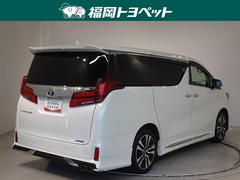 ���Ͽ͵��Υۥ磻�ȥѡ��륯�ꥹ���륷�㥤��Ǥ��� 3