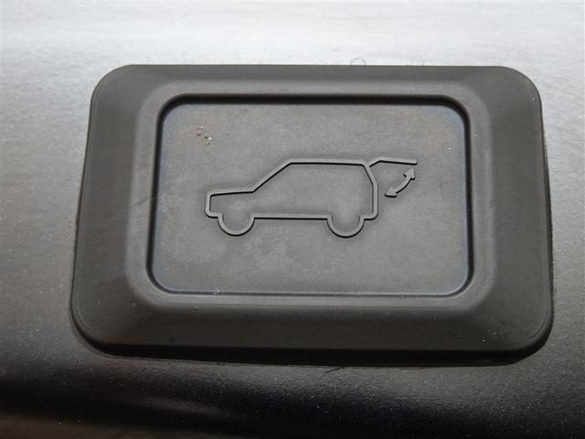 ＲＡＶ４ Ｇ　衝突被害軽減システム　フルセグ　バックカメラ　ＥＴＣ　フルエアロ　ＬＥＤヘッドランプ　４ＷＤ　スマートキー（25枚目）