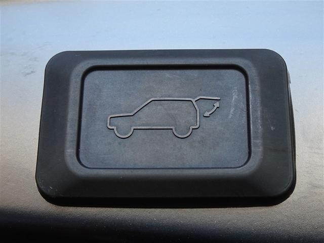 RAV4 G 衝突被害軽減システム バックカメラ ETC フルエアロ LEDヘッドランプ 4WD スマートキー(24枚目)