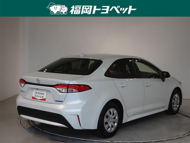 �F�͐l�C�̃v���`�i�z���C�g�p�[���}�C�J�ł��B