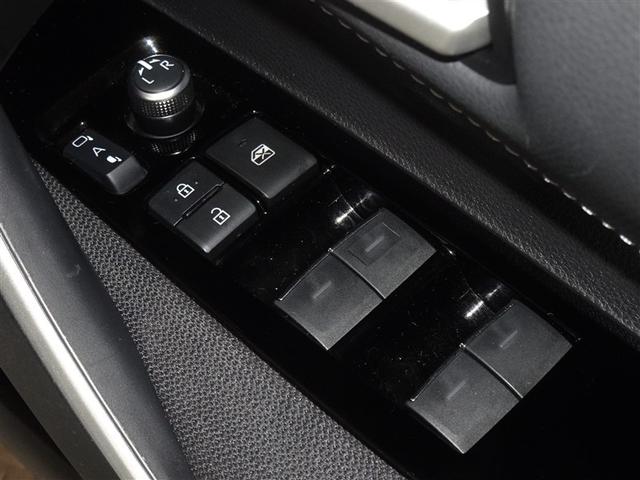 �d���i�[���h�A�~���[�E�p���[�E�C���h�E�𑕔����Ă��܂��B