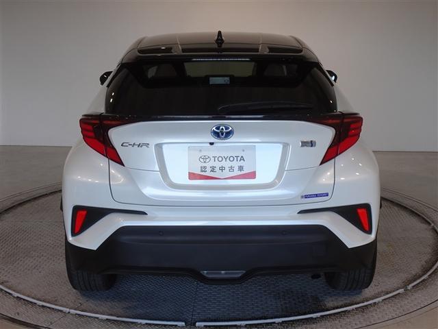 �c�J���̃o�b�N�h�A�ł��A�J�̓����G��ɂ����ł���B