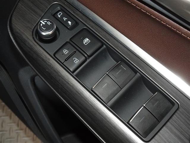 �d���i�[���h�A�~���[�E�p���[�E�C���h�E�𑕔����Ă��܂��B