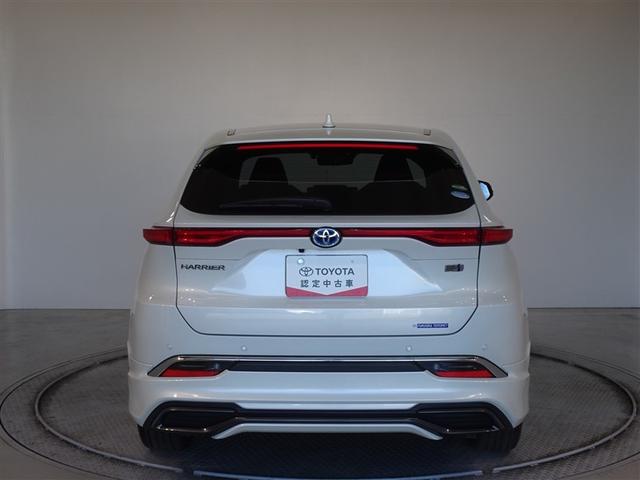 �c�J���̃o�b�N�h�A�ł��A�J�̓����G��ɂ����ł���B