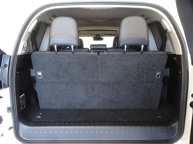 �V�l��Ԏ��̃g�����N���[���ł��A�R���p�N�g�ł�������g���Ȃ�\���ȃX�y�[�X�ł��B