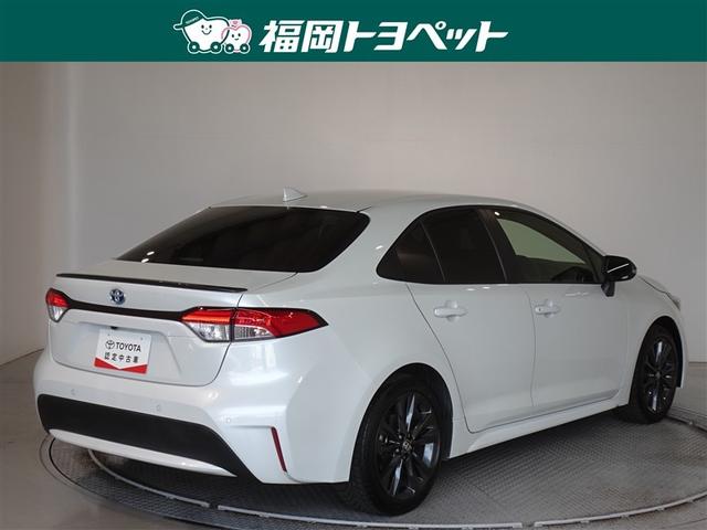 �F�͐l�C�̃v���`�i�z���C�g�p�[���}�C�J�ł��B