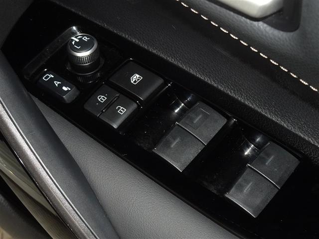 �d���i�[���h�A�~���[�E�p���[�E�C���h�E�𑕔����Ă��܂��B