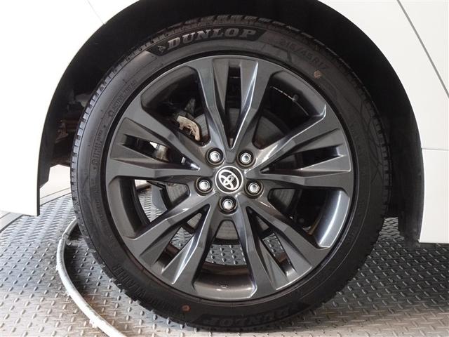 �������Ƒ����������������A�����A���~�𑕔����Ă��܂��B