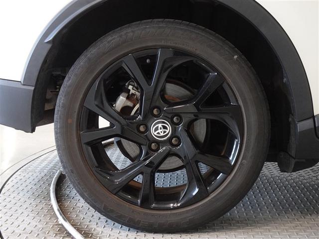 �������Ƒ����������������A�����A���~�𑕔����Ă��܂��B