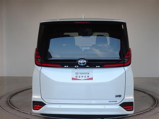 �c�J���̃o�b�N�h�A�ł��A�J�̓����G��ɂ����ł���B