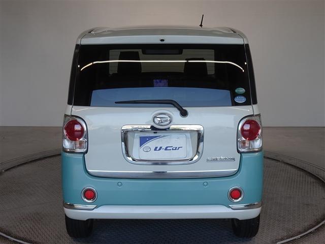 �c�J���̃o�b�N�h�A�ł��A�J�̓����G��ɂ����ł���B