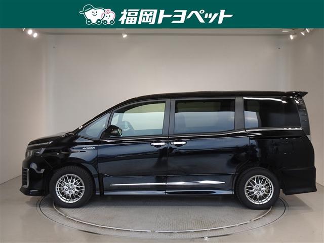 �g���^�̂V�l�̂�~�j�o���A���H�N�V�[�n�C�u���b�h�@�y�r�����ׂ��܂����B