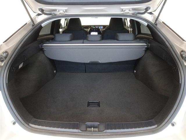 �T�l��Ԏ��ł��\���ȃX�y�[�X�̃g�����N���[���ł��B