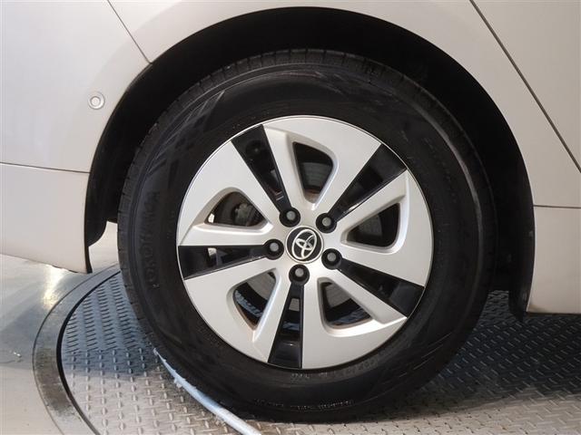 �������Ƒ����������������A�����A���~�𑕔����Ă��܂��B