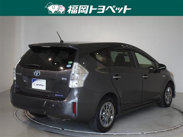 �F�͐����ȃO���[���^���b�N�ł��B