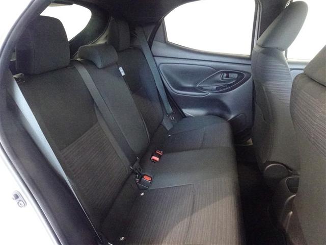 �l�̐G���V�[�g�͔O����ɐ��|�E���L�����{���Ă���܂��B