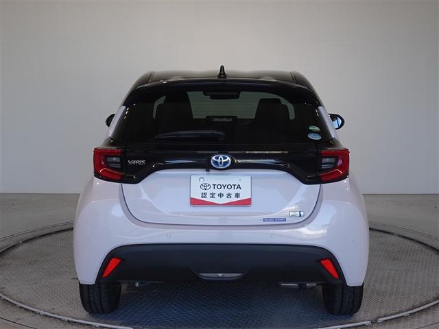 �c�J���̃o�b�N�h�A�ł��A�J�̓����G��ɂ����ł���B