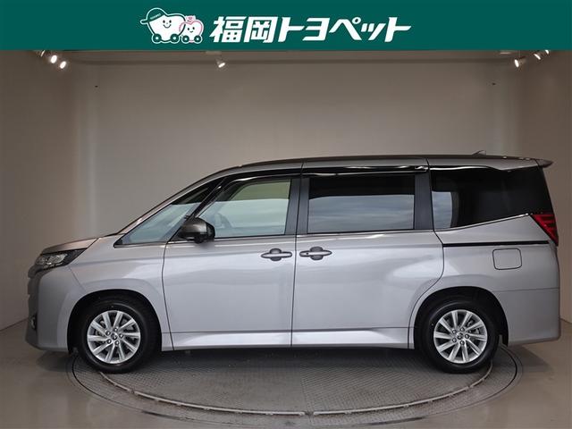 �g���^�̂V�l�̂�~�j�o���A�m�A�@�y�����ׂ��܂����B