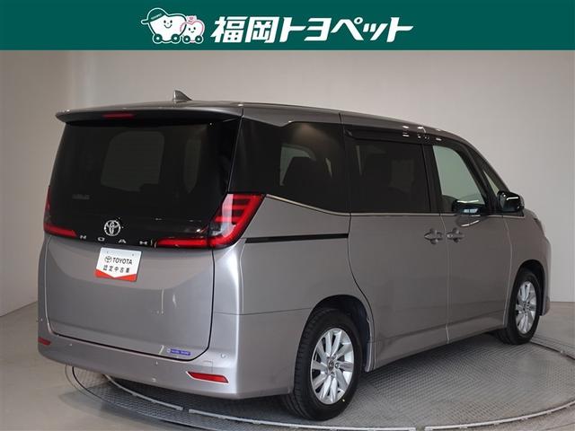 �F�͐����ȃ��^���X�g���[�����^���b�N�ł��B