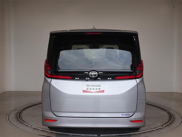 �c�J���̃o�b�N�h�A�ł��A�J�̓����G��ɂ����ł���B