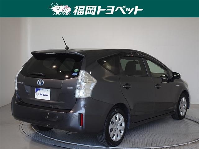 �F�͐����ȃO���[���^���b�N�ł��B