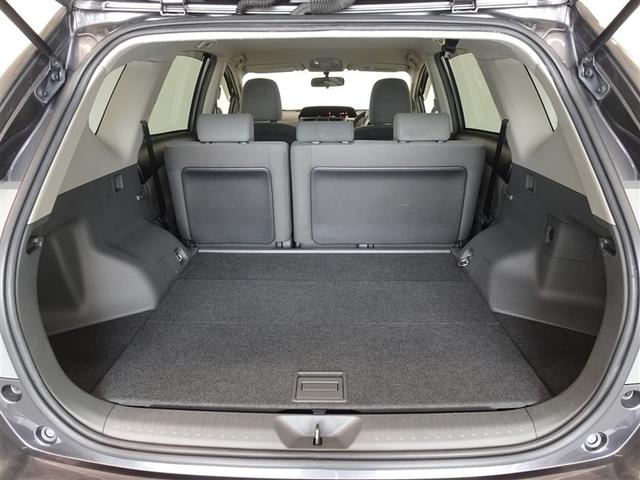 �T�l��Ԏ��ł��\���ȃX�y�[�X�̃g�����N���[���ł��B