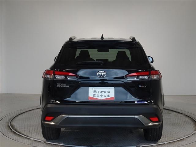 �c�J���̃o�b�N�h�A�ł��A�J�̓����G��ɂ����ł���B