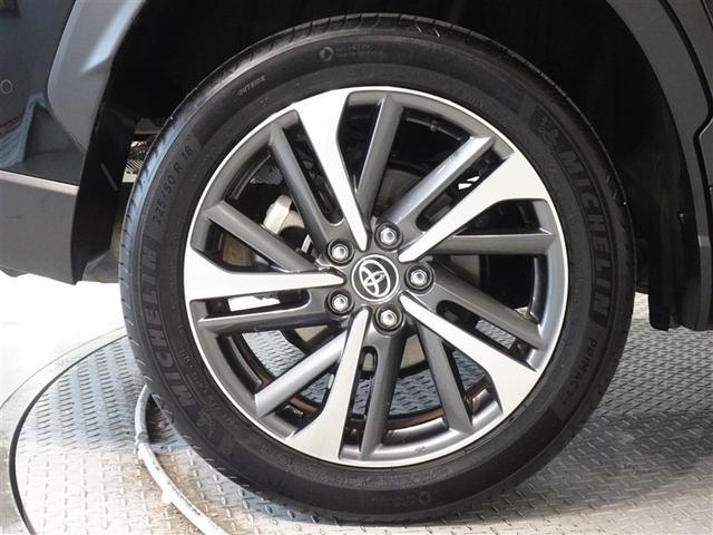 �������Ƒ����������������A�����A���~�𑕔����Ă��܂��B