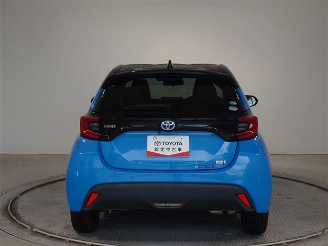 �c�J���̃o�b�N�h�A�ł��A�J�̓����G��ɂ����ł���B