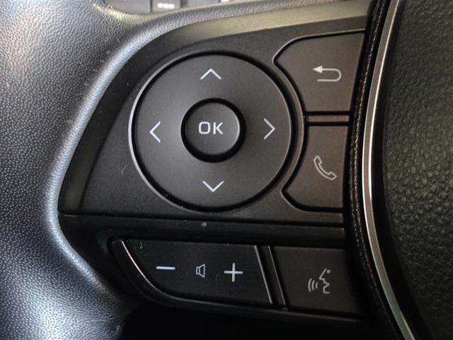 カローラスポーツ ハイブリッドＧ　衝突被害軽減システム　メモリーナビ　フルセグ　バックカメラ　ＥＴＣ　ＬＥＤヘッドランプ　スマートキー（13枚目）