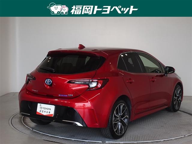 �F�͂��ꂢ�ȃG���[�V���i�����b�h�R�ł��B