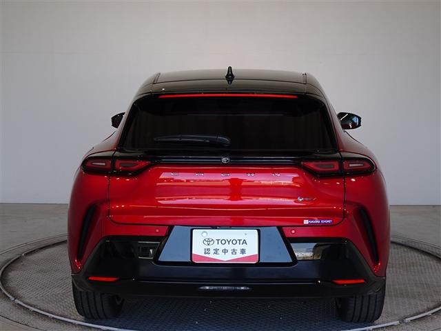 �c�J���̃o�b�N�h�A�ł��A�J�̓����G��ɂ����ł���B