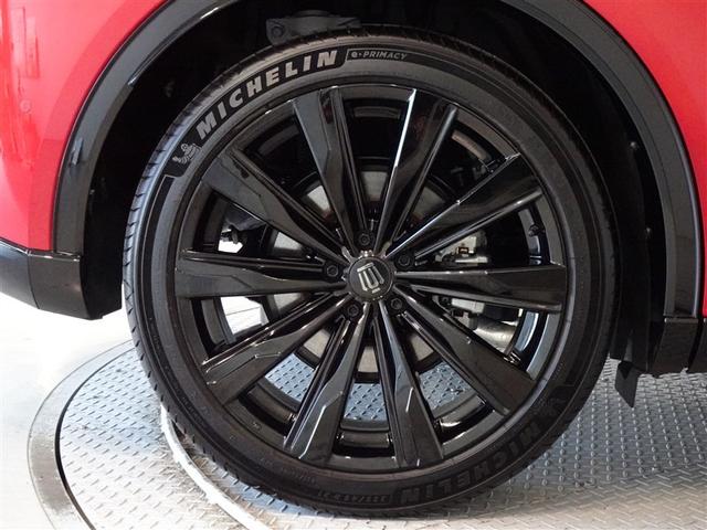 �������Ƒ����������������A�����A���~�𑕔����Ă��܂��B