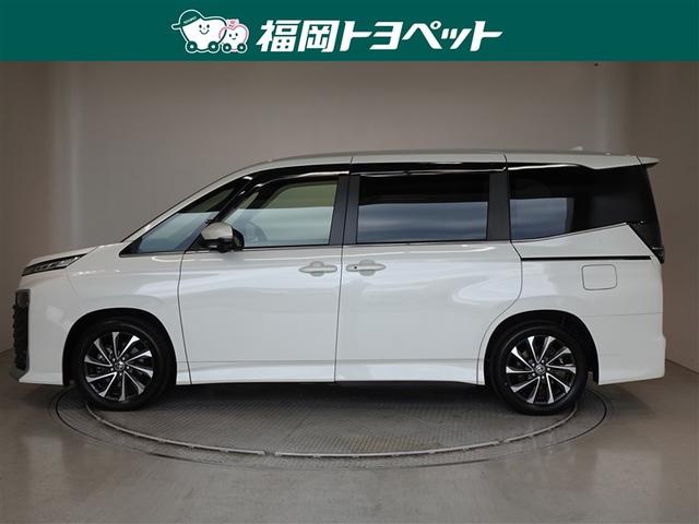 �g���^�̂V�l�̂�~�j�o���A���H�N�V�[�n�C�u���b�h�@�r�|�y�����ׂ��܂����B