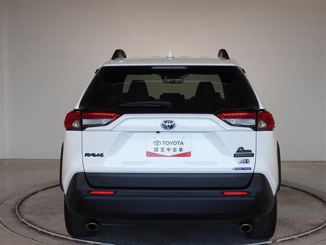 �c�J���̃o�b�N�h�A�ł��A�J�̓����G��ɂ����ł���B