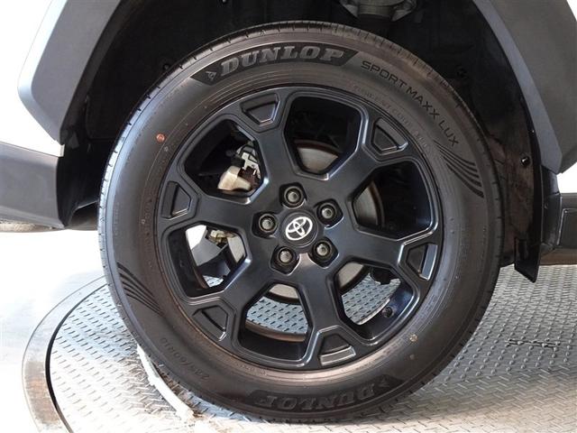 �������Ƒ����������������A�����A���~�𑕔����Ă��܂��B