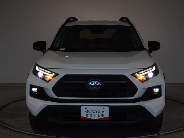 ��Ԃ̃��C�e�B���O��\�����Ă݂܂����B�w�b�h�����v�͂k�d�c�A�ȃG�l�Ŗ��邢�ł���B