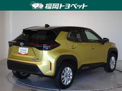 ꥹ ϥ֥åɣǡﳲڸƥࡡ꡼ʥӡե륻Хå顡ţԣạ́ţĥإåɥסޡȥ