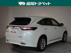 ���Ͽ͵��Υۥ磻�ȥѡ��륯�ꥹ���륷�㥤��Ǥ��� 3