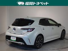 ���Ͽ͵��Υۥ磻�ȥѡ��륯�ꥹ���륷�㥤��Ǥ��� 3