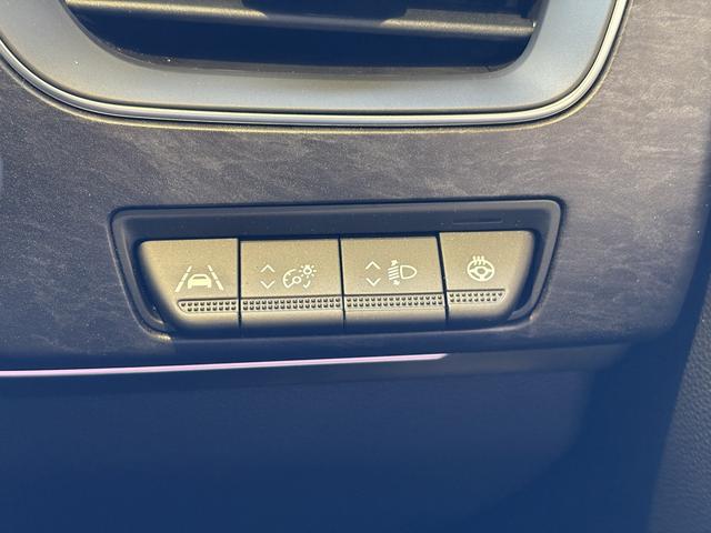 アルカナ エスプリ　アルピーヌ　マイルドハイブリッド　当店デモカー　新車保証付　９．３インチマルチメディアＥＡＳＹＬＩＮＫ・全周囲カメラ・バックモニター・スマートキー・ステアリングヒーター（25枚目）