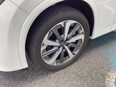 ������������������������������������ξ�����������礻���Ԥ����Ƥ���ޤ������� 6