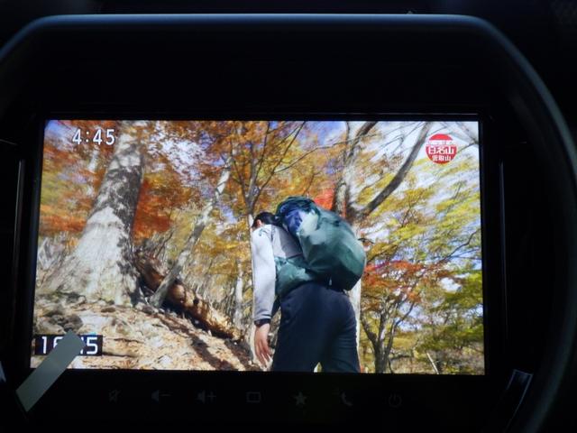 ハスラー タフワイルド 純正9インチフルセグナビ・ディスプレイオーディオ スマホ・アップルカープレイ・アンドロイドオート対応 ブルートゥース DVD/CD/USB 全周囲モニター HUSTLERエンブレム ルーフレール(59枚目)